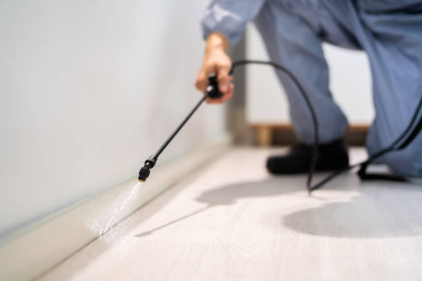 Licensed Pest Control service in Plainville, KS - Show Me Pest Control