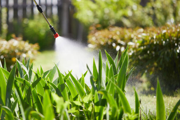 24/7 Emergency Mosquito Control experts in Plainville, KS