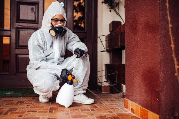 Reliable Mosquito Control contractor in Plainville, KS by Show Me Pest Control